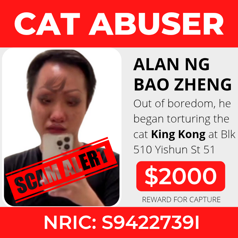 Scam alert advisory illustration